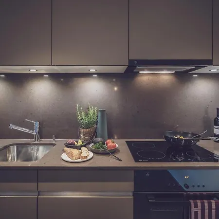 公寓 Parsenn 达沃斯